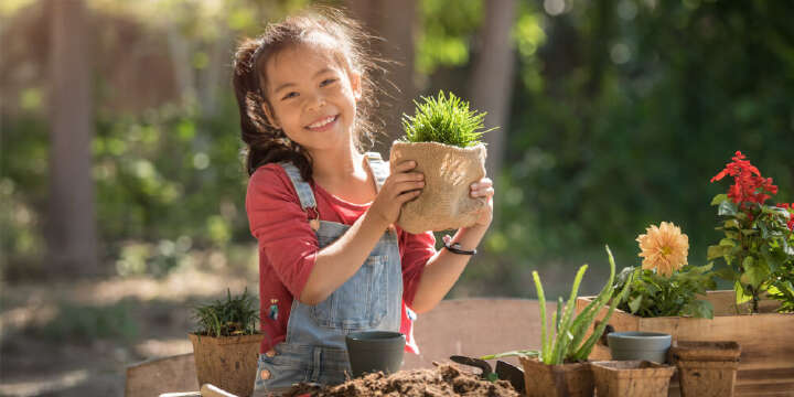 themenwelt torffrei gaertnern 1000x500